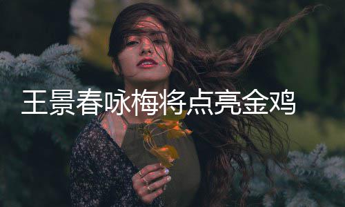 梅将开幕式表金鸡江献王景龙杜演春咏 成点亮