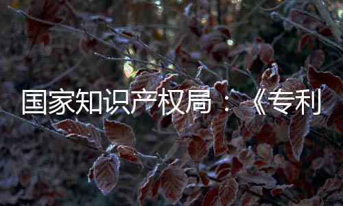 设立知识专专门章节局 加南能伦利审理审国家工智强人产权查指查